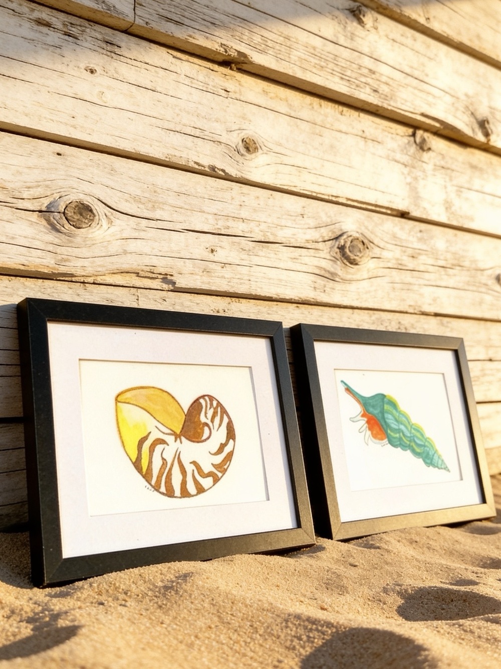 Original watercolor shells paintings hand crafted black frames 2 set 8x6 inches